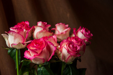 Lovely bouquet with big flowers of roses of bright pink and white color are staying on the table. Green leaves and thorns. Still life. Brown  background