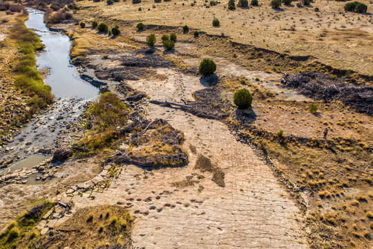 Dinosaur Tracks Of Comanche National Grassland.  La Junta, Colorado.  Aerial Drone Photo