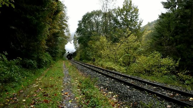 Harzer Schmalspurbahn