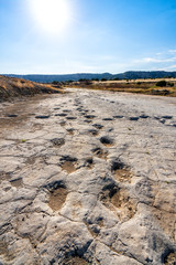 Dinosaur tracks of Comanche National Grassland.  La Junta, Colorado.