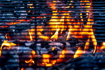 BBQ mit Holz und Feuer