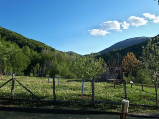 Fototapeta premium Rural landscape with wooden fence and mountains on horizon