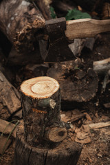 An ax chopping a log. Nature and sawdust. Work in the village.