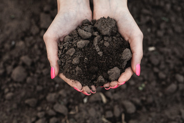 The girl holds the earth in her hands.
Handful of Rich Brown Soil.Pink manicure.