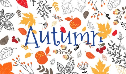 Autumn sale template with fall leaves. Background for shopping sale web banner, label, promo Poster template. Vector illustration style