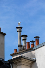 seagull on the roof