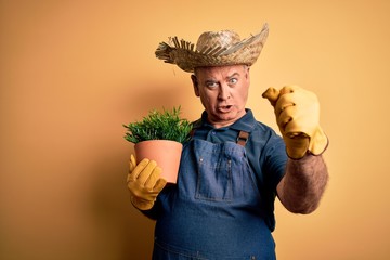 Middle age hoary farmer man wearing apron and hat holding plant pot over yellow background annoyed...