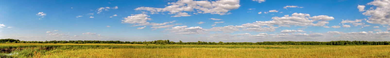 Panorama of a summer meadow against a blue sky with clouds