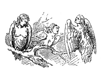 Three Harpies, creatures half-human with woman heads and half-bird with wings and claws, impersonation of storm winds in the Greek and Roman mythology