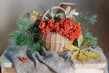Still life of a branch of red rowan in the basket on the table.