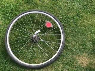 wheel from an old bicycle on green grass