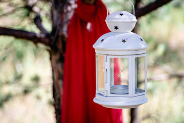 Candlestick suspended on a pine branch.