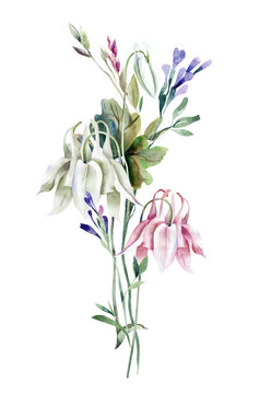 Summer Bouquet with Columbine Flowers. Watercolor Illustration. 