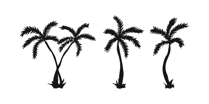 Set of silhouette palm tree. 