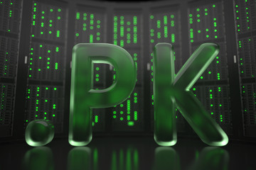 Pakistani domain .pk on server room background. Internet in Pakistan related conceptual 3D rendering