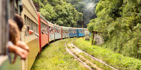 Pessoas viajando em um trem com vagões coloridos no meio da floresta. Maria fumaça em trilhos...