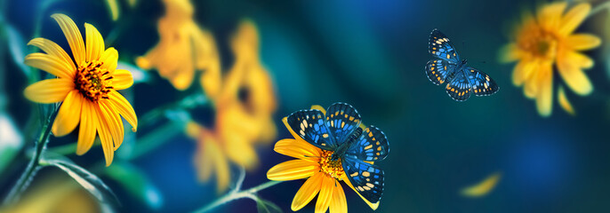 Small yellow bright summer flowers and tropical butterflies  on a background of blue and green foliage in a fairy garden. Macro artistic image. Banner format. - Powered by Adobe