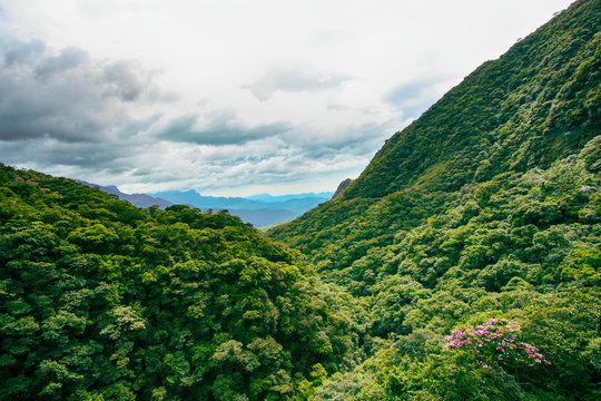 Paisagem montanhosa de floresta no sul do Brasil. Natureza densa, verde e repleta de &aacute;rvores.