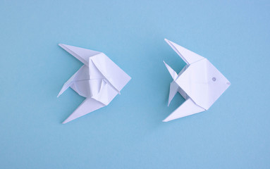 Handmade white trendy geometric polygonal paper origami fish on blue background.Step 3.