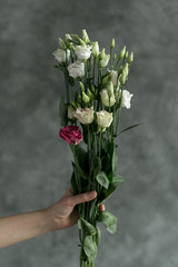 Bouquet of white and red roses in the hand near the grey wall. Background with flowers. 