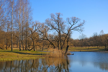 Exit to a small lake. The beginning of spring.