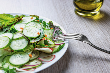 Healthy diet green salad with cucumbers in a white plate, a fork lies on a dish, shallow depth of field, selective focus. Organic food concept.