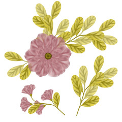 set of watercolor flowers
