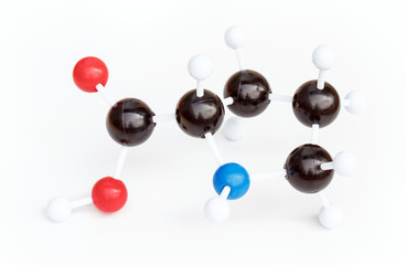 Plastic ball-and-stick model of a Proline or L-Proline (Pro) molecule on a white background....
