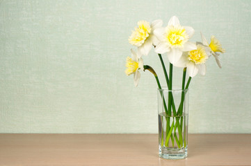 Fototapeta na wymiar A bouquet of daffodils in a glass cup stands on a table on a turquoise background. Place for text, copy space