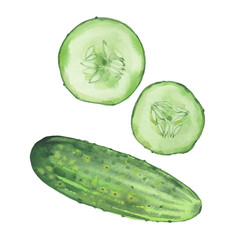 Cucumber on white background