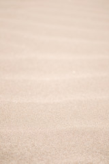 Fototapeta na wymiar windy sand 