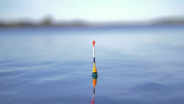 fishing. float in the water. fish is caught. Slow motion