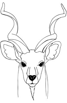 Portrait of a Kudu antelope. Black and white drawing for coloring