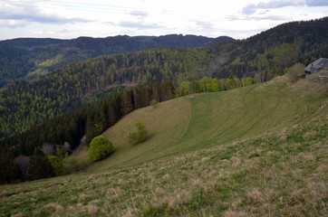 Fototapeta premium Wolkenwetter im Schwarzwald