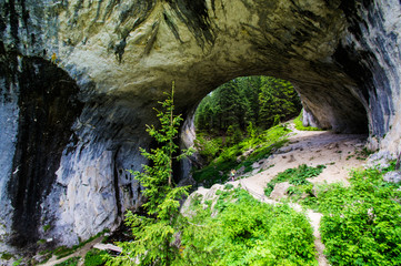 Cave In Forest