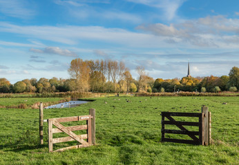 Tradycyjny, holenderski krajobraz. Rezerwat przyrody w Holandii Północnej. © Bozena