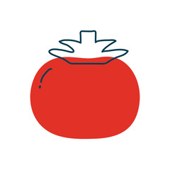 tomato flat style icon vector design