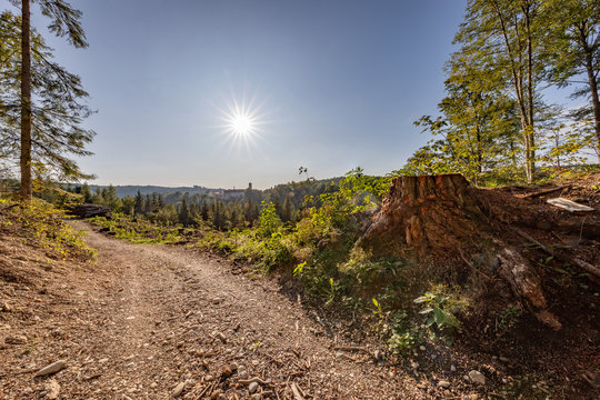 Weilhartsforst, Raitenhaslach, Aussicht, Hochburg-Ach, Bezirk Braunau, Ober&ouml;sterreich, &Ouml;sterreich, Austria, Heilbr&uuml;nnl, Heilbr&uuml;ndl, Weg, Wanghausen