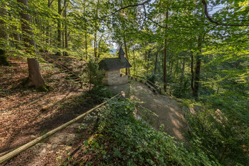 Fototapeta premium Heilbrünnl, Heilbründl, Wanghausen, Weg, Weilhartsforst, Hochburg-Ach, Bezirk Braunau, Oberösterreich, Österreich, Austria