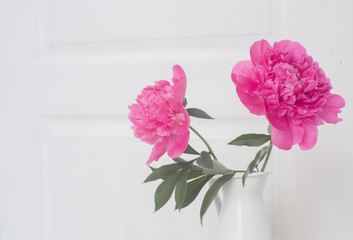 Bouquet of peonies in white enamelled vase. Mothers day card. Beautiful peony flower for interior catalog.
