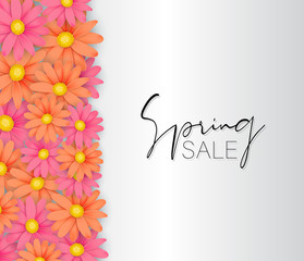 Spring sale banner or poster. Pink and orange daisies or gerbera flowers. Floral design concept. Vector illustration.