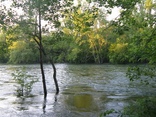 Flooded River