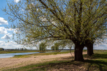 Wiosna w Dolinie Narwi. Wiosenne Podlasie. Tykocin, Strękowa G&oacute;ra, Podlasie, Polska