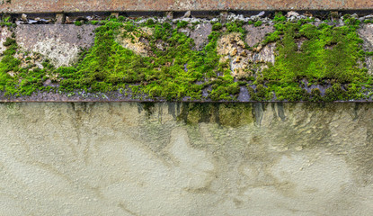 The texture of the old wall of the house, covered with moss