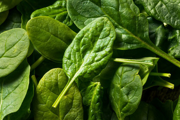 Raw Organic Fresh Baby Spinach