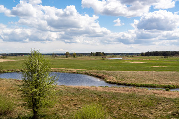 Wiosna w Dolinie Narwi. Wiosenne Podlasie. Tykocin, Strękowa Góra, Podlasie, Polska
