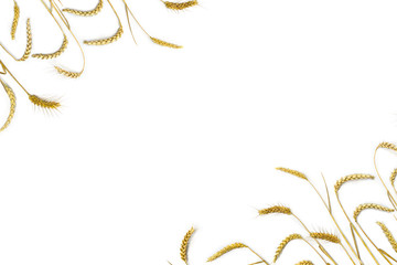 Frame of wheat ears on a white background with space for text. Top view, flat lay