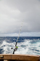 Marlin fishing 60 miles off the brazilian coast