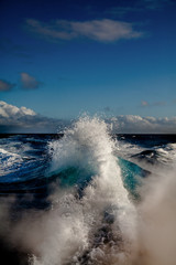 Marlin fishing 60 miles off the brazilian coast