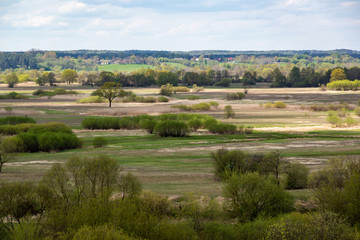 Fototapeta premium Wiosna w Dolinie Narwi. Wiosenne Podlasie. Tykocin, Strękowa Góra, Podlasie, Polska